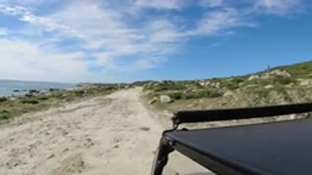 LOS CABOS MEXICO-2019: Family Vacation Home Movie Footage