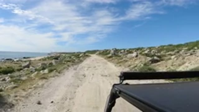 LOS CABOS MEXICO-2019: Black Car Travelling Dirt Road By Sea Under Blue Sky
