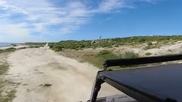LOS CABOS MEXICO-2019: Vehicle Moving Off Road Near Sea With Trees