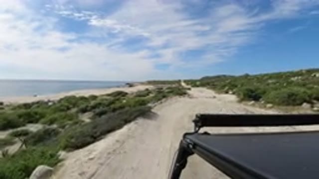 LOS CABOS MEXICO-2019: Black Car Driving On The Sand Between Vegetation And The Ocean