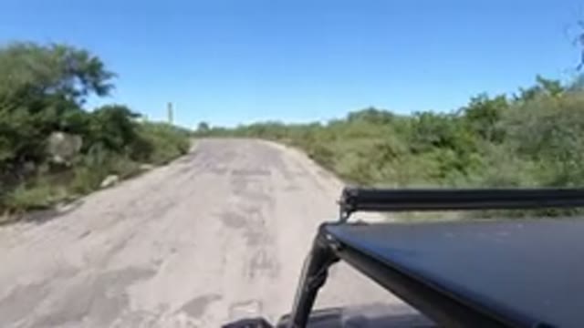 LOS CABOS MEXICO-2019: A Vehicle Running On A Road Constructed Between A Forest