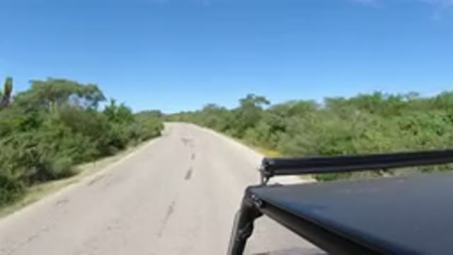 LOS CABOS MEXICO-2019: Fun Amazing Joyride in Los Cabos