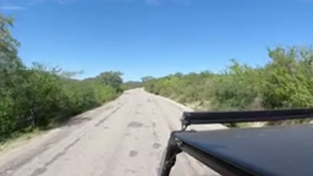LOS CABOS MEXICO-2019: Moving On An Empty Road With Trees On The Side