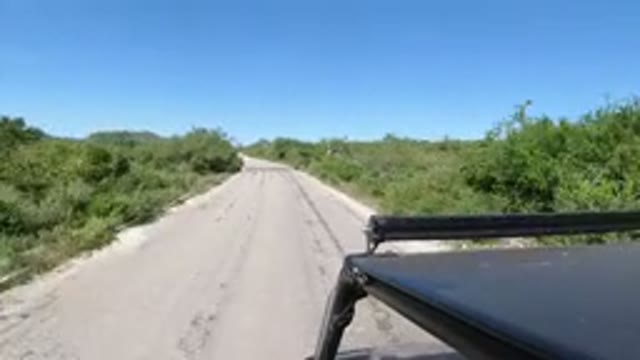 LOS CABOS MEXICO-2019: Driving Carefree Through The Backgrounds Surrounded By