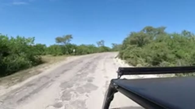 LOS CABOS MEXICO-2019: A Vehicle Moving Fast On A Two Way Road Constructed