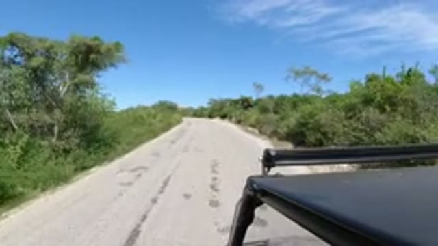 LOS CABOS MEXICO-2019: Car Ride On A Countryside Road While Watching The Green
