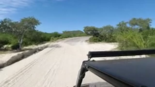 LOS CABOS MEXICO-2019: Car Driving Along A Road With Trees On Both Sides Of The