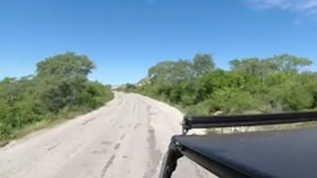 LOS CABOS MEXICO-2019: Black Car Driving Past A Truck In A Street Surrounded By Trees