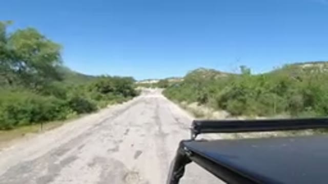 LOS CABOS MEXICO-2019: A Vehicle Driving On A Road With Trees On Both Sides Of