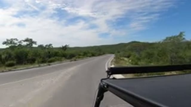 LOS CABOS MEXICO-2019: Small Black Wrangler Jeepney Drives Fast On An Empty Road