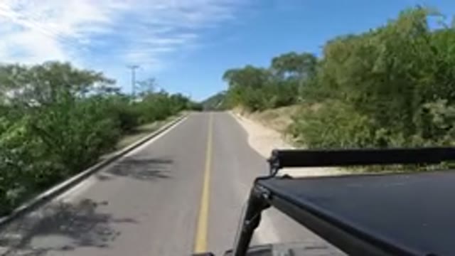 LOS CABOS MEXICO-2019: Car Driving On A Road Full Of Trees Under A Blue Sky