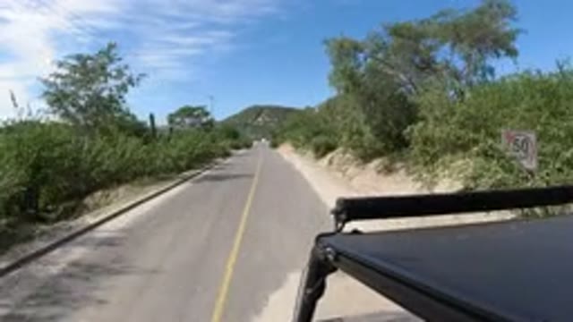 LOS CABOS MEXICO-2019: Paradise Road Amidst The Surrounding Trees Perfect For