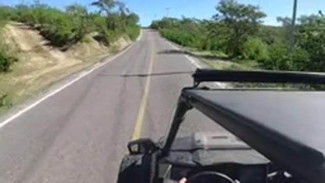 LOS CABOS MEXICO-2019: Early Morning Drive On Tree Lined Highway In The Middle