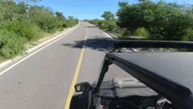 LOS CABOS MEXICO-2019: A Wrangler Jeepney Drives Fast On A Clean Empty Road