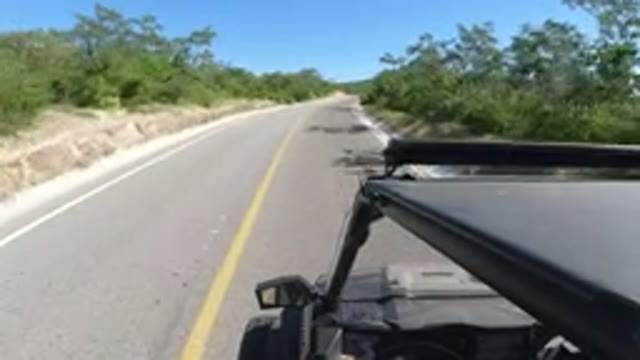 LOS CABOS MEXICO-2019: Drive A Car In A Natural Park With Many Trees