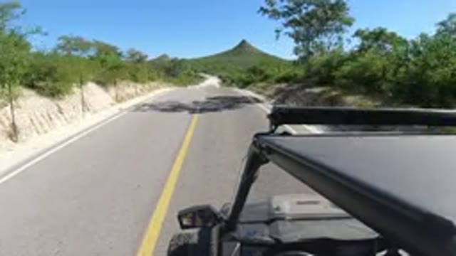 LOS CABOS MEXICO-2019: Safety During The Trip
