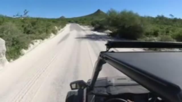 LOS CABOS MEXICO-2019: Jeep Drives Through A Highway Full Of Sand But With Vegetation And Mountains