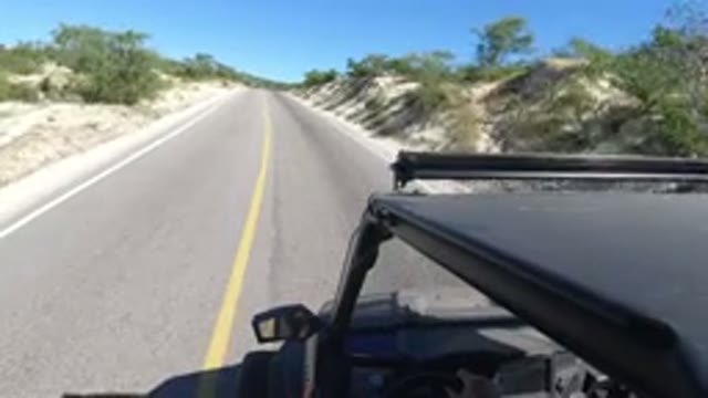 LOS CABOS MEXICO-2019: A Vehicle Travels Along a Road With Trees and Grass on the Side