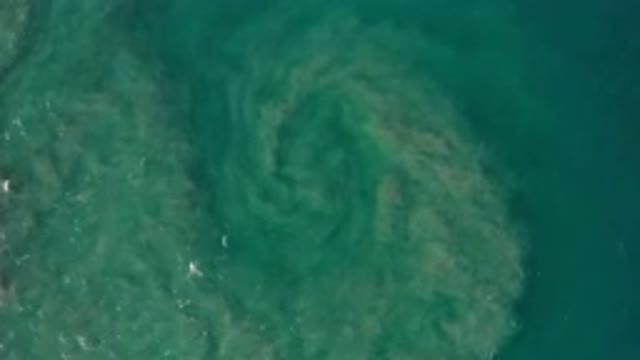 LOS CABOS MEXICO-2020: A Clean Green Water And Rolling Loose Sand Underneath