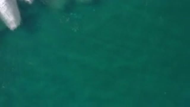 LOS CABOS MEXICO-2020: With Water So Clear And Blue What Are You Waiting For