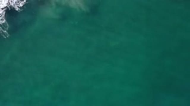 LOS CABOS MEXICO-2020: Ocean Waves Move Across The Ocean Slowly And Begin To Crash