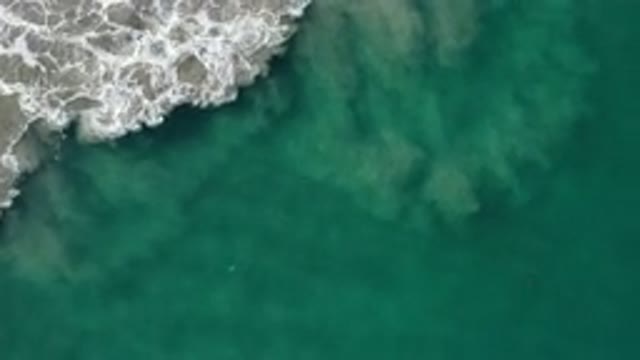 LOS CABOS MEXICO-2020: Nice and Wonderful Day by the Beach