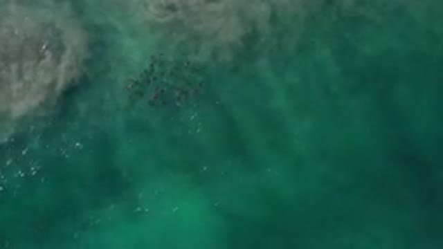 LOS CABOS MEXICO-2020: Overhead View Of Shallow Sea Water Just Before It Impacts