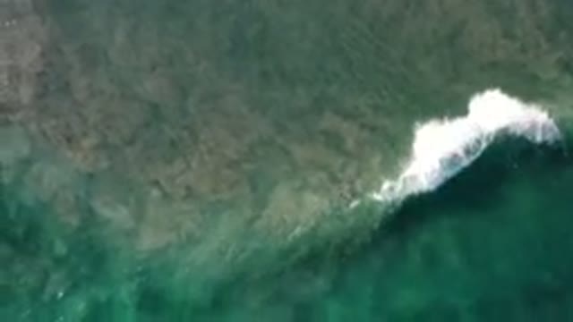LOS CABOS MEXICO-2020: Small Rolling Wave Churns Green And Brown Water With Whitecaps