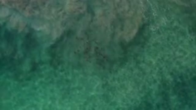 LOS CABOS MEXICO-2020: A Calm And Emerald Sea