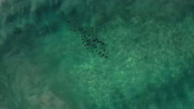 LOS CABOS MEXICO-2020: Sunlight Dancing On Beautiful Turquoise Water With School