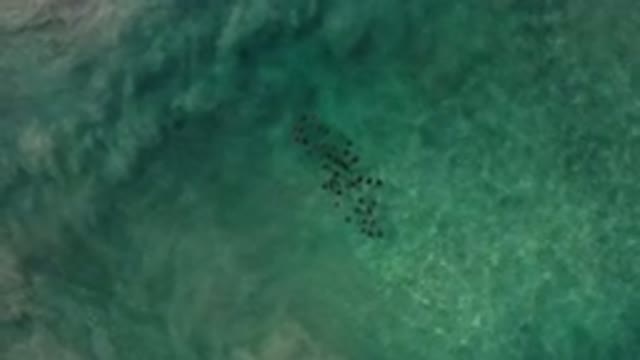 LOS CABOS MEXICO-2020: Beautiful Footage Of Sea With Crystal Clear Water And Rocky Shores