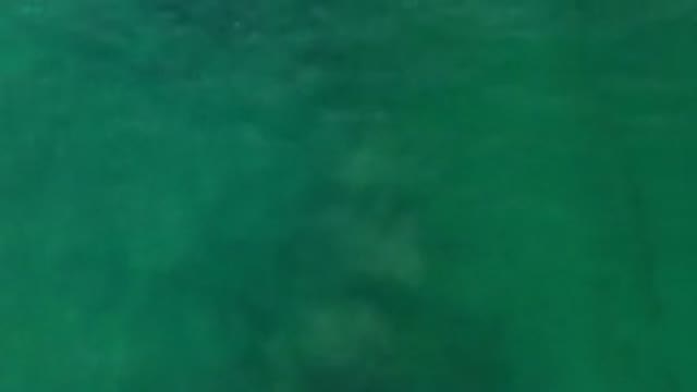 LOS CABOS MEXICO-2020: A Beach With Blue Ocean Water