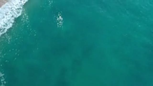 LOS CABOS MEXICO-2020: Her Wonderful Day in Mexico By The Beach