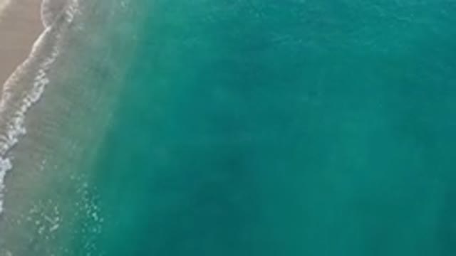 LOS CABOS MEXICO-2020: Amazingly Wonderful Day by the Beach