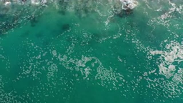 LOS CABOS MEXICO-2020: Your Wonderful Day in Mexico By The Beach