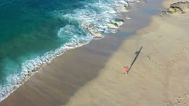 LOS CABOS MEXICO-2020: A Beachside View