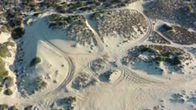 LOS CABOS MEXICO-2020: The Land Filled With Snow And The Green Bushes Makes The