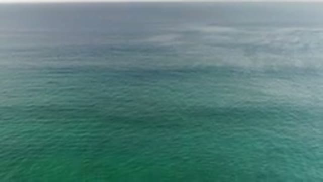 LOS CABOS MEXICO-2020: Cleanest Green Sea in Los Cabos
