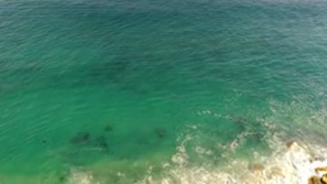 LOS CABOS MEXICO-2020: Dark Object Under The Water As Waves Crash Onto A Rocky