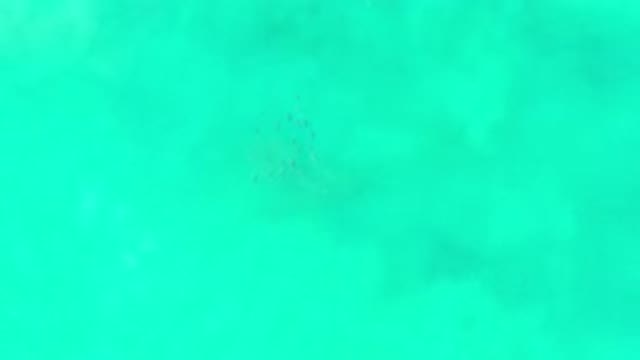 LOS CABOS MEXICO-2020: Turquoise Water With Little Fishes Swimming