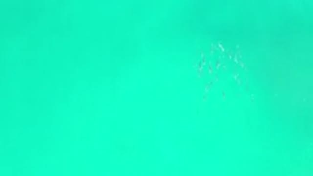 LOS CABOS MEXICO-2020: Aerial View Of The Green Ocean With Some Fish On The