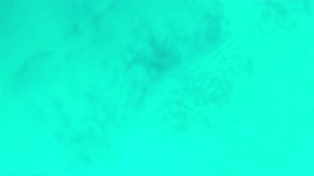 LOS CABOS MEXICO-2020: Overview Of Blue Green Ocean Waters From High Aerial
