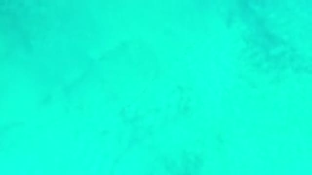 LOS CABOS MEXICO-2020: In A Long View Beach With Sea Waves Slow Motion