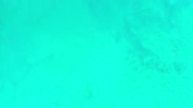 LOS CABOS MEXICO-2020: The Green Ocean Is Calm And Is Just Creating Waves