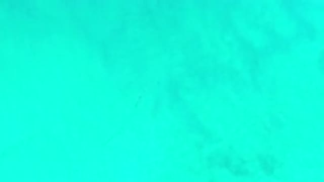 LOS CABOS MEXICO-2020: Bright And Beautiful Footage Of Waves And Crystal Clear Water