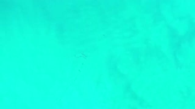 LOS CABOS MEXICO-2020: Amazing View of A Green Sea Makes Him Happy