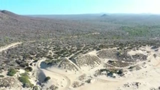 LOS CABOS MEXICO-2020: Flying Scenes From A Sandy Desert With Vegetation And Mountains