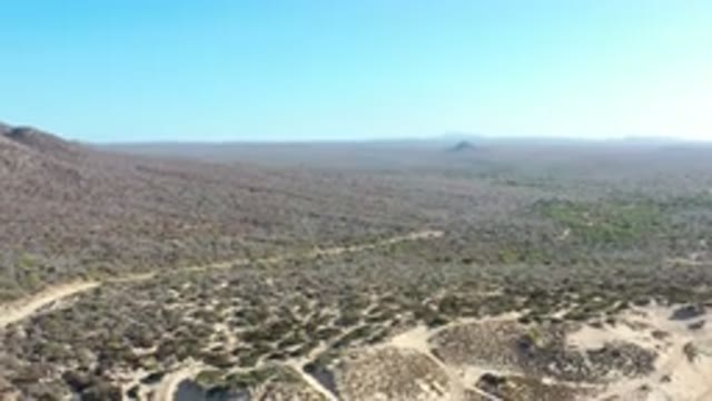 LOS CABOS MEXICO-2020: The Land With Few Greenish Bushes Under The Bluish Sky