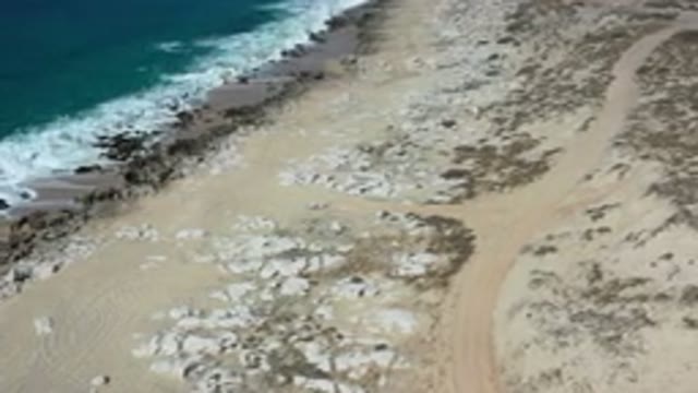 LOS CABOS MEXICO-2020: Ocean Waves Rolling Onto Coral-Covered Beach