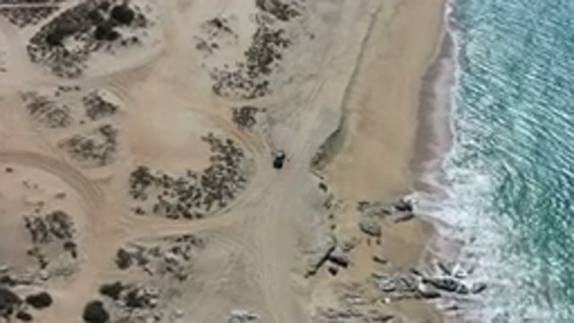 LOS CABOS MEXICO-2020: The High Sky The Beach Birds Flying Over The Sand To The
